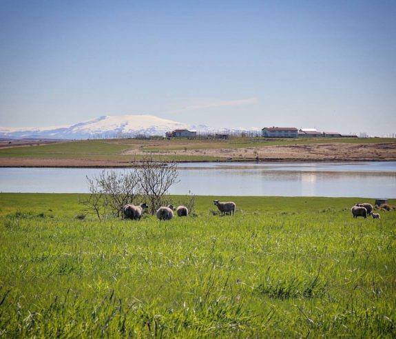 18620652_10155148066528819_2598706094167234648_o